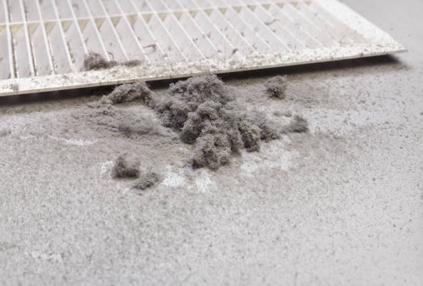 Best Affordable Duct Cleaning Services  in Arroyo Seco, NM